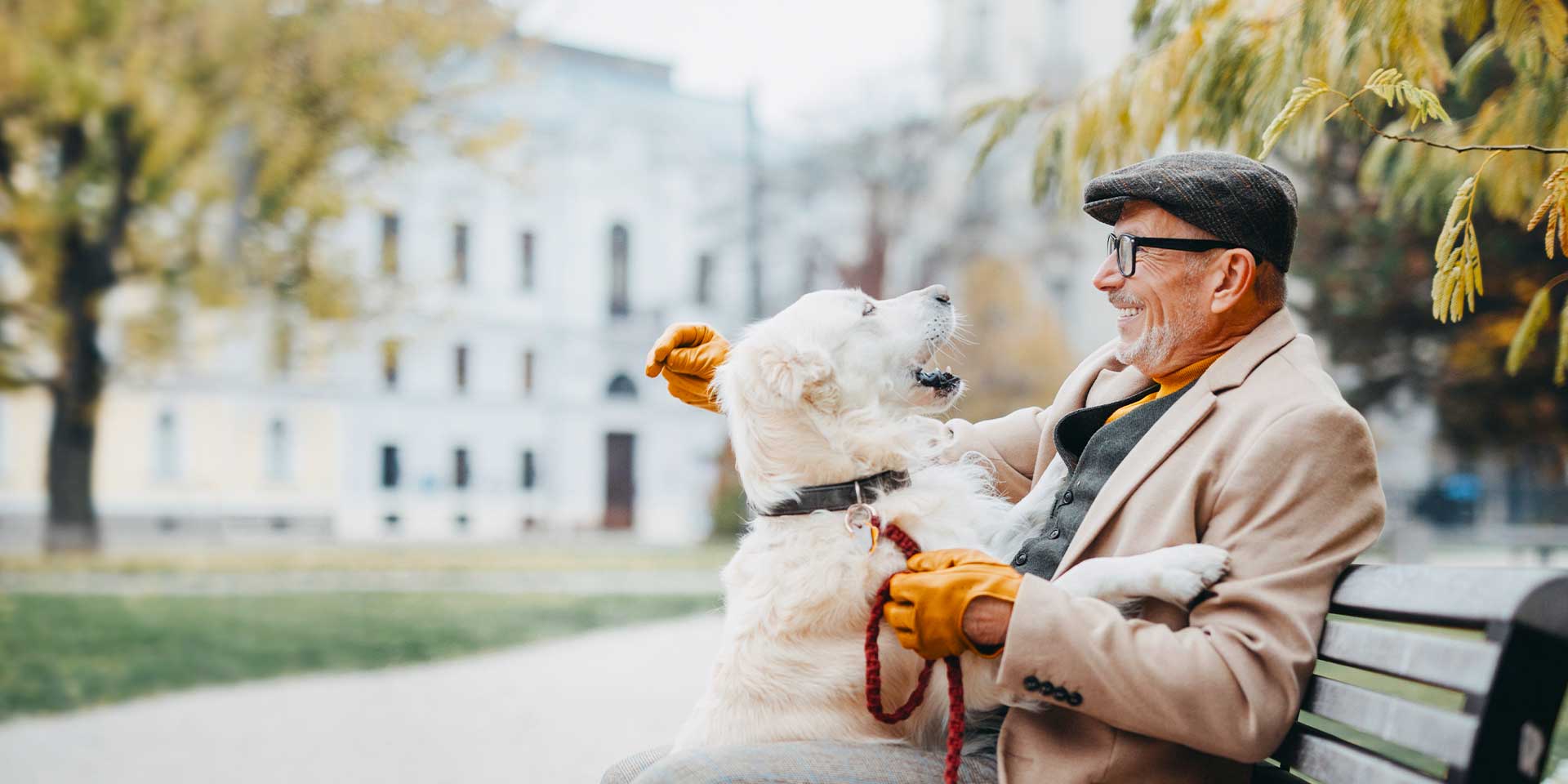 older man sitting on a park bench smiling at his dog jumping into his lap