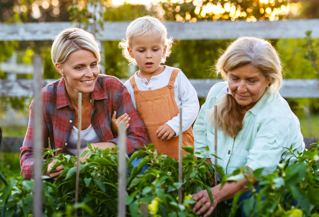 Grandmother, mother, and daughter outside planting flowers in a garden together.