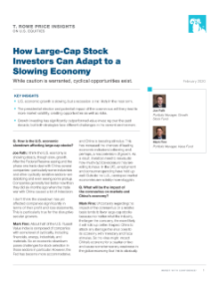 How Large‑Cap Stock Investors Can Adapt to a Slowing Economy