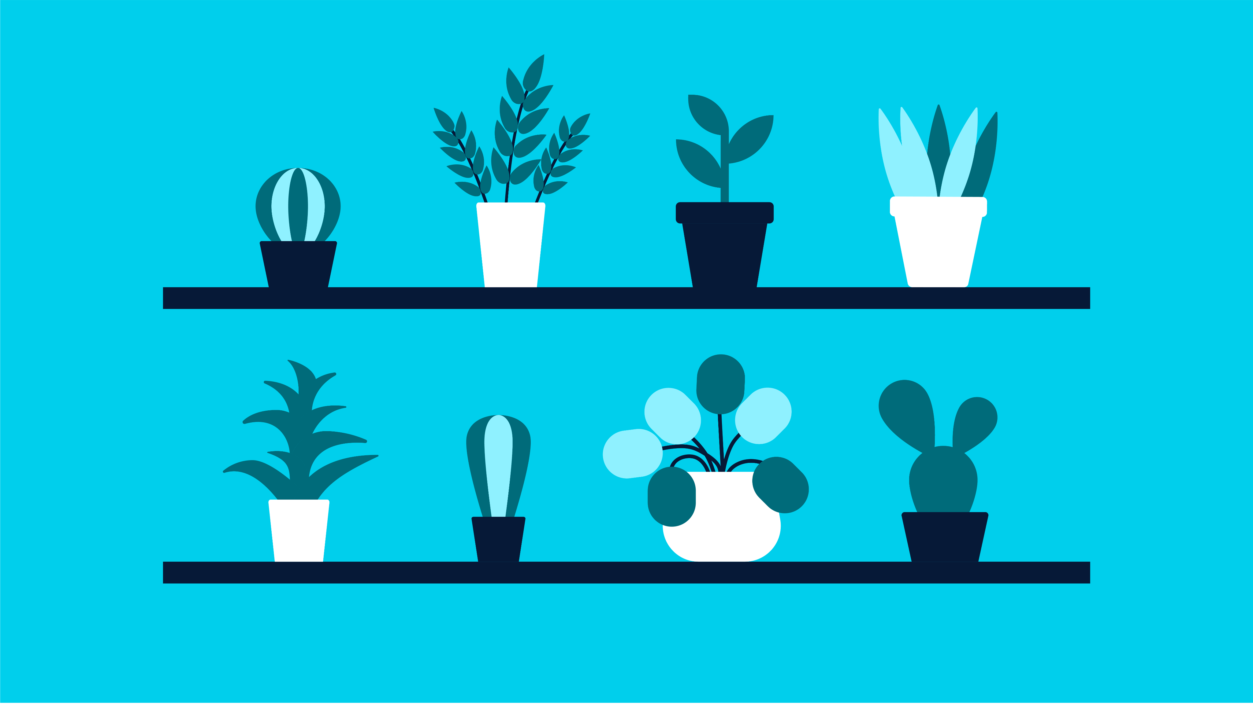 A decorative illustration of eight house plants on two floating shelves.