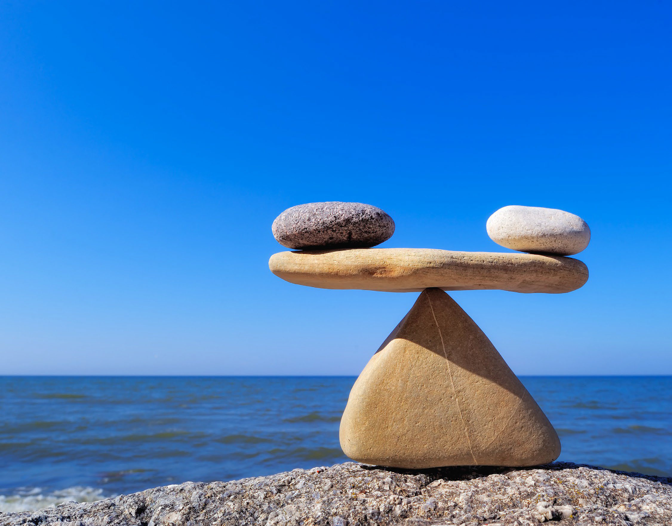 è³ æ ¬å¸ å ´è¦ é  ã   2024å¹´ç  