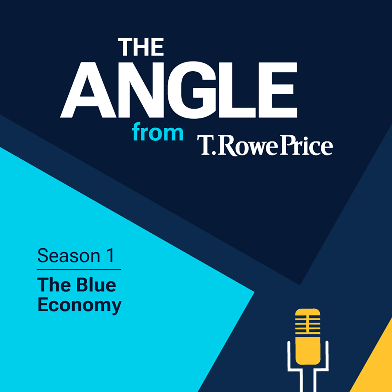 The Blue Economy - Making Waves Podcast Season 1