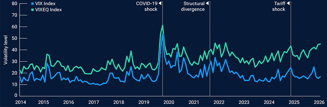 Line chart shows stock volatility has remained elevated while broader market volatility has stayed relatively subdued.