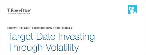 Target Date Volatility Brochure Thumbnail