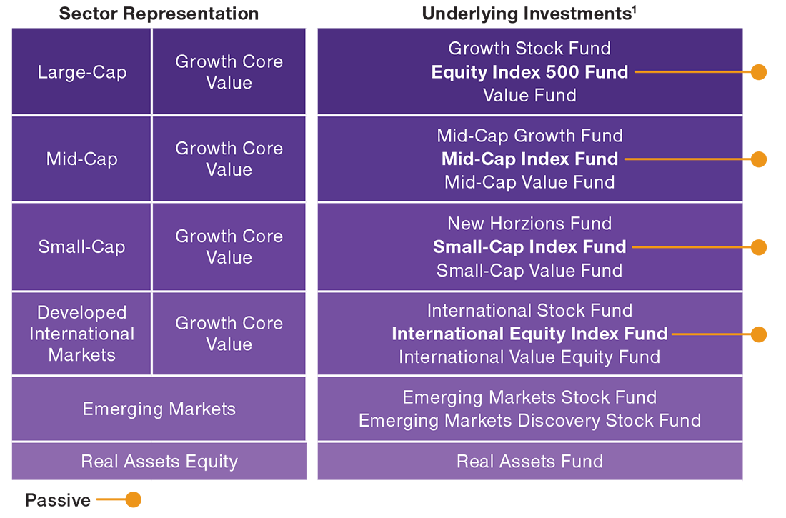Active and passive investments in equities