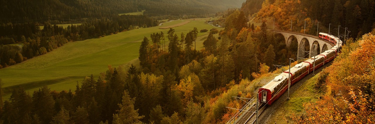 Ariel view of train winding through a forest of fall foliage