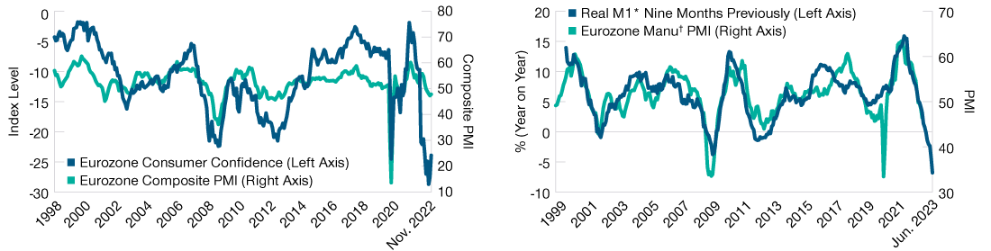 Real monetary conditions lead activity in the eurozone