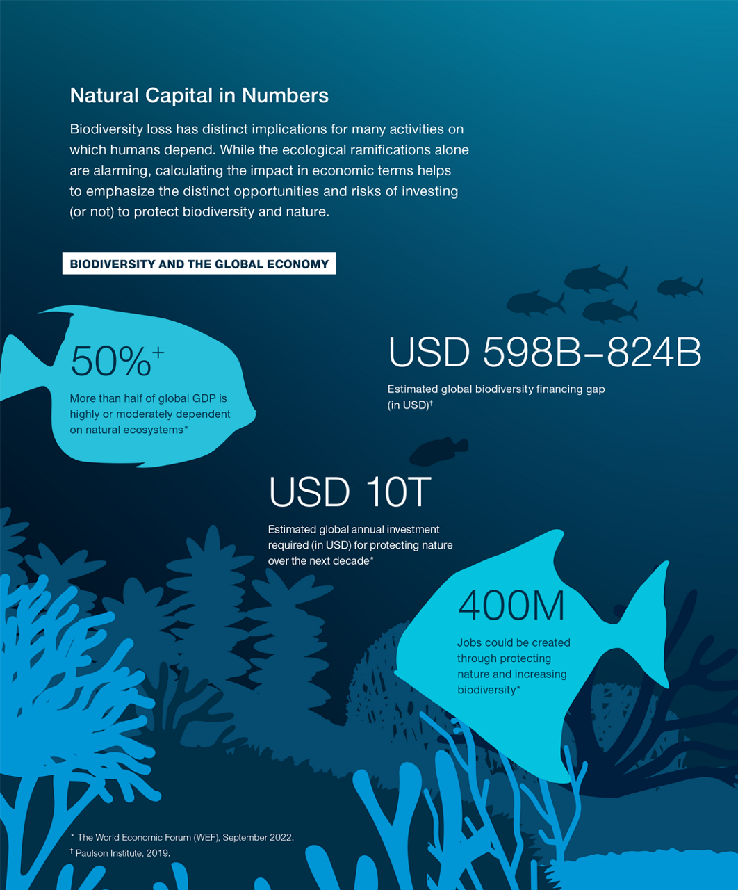 Illustration showing four data points that represent the impact in economic terms of biodiversity loss. These span the impact on global gross domestic product (50%+), the estimated global biodiversity financing gap (USD 598-824 billion), the estimated investment required annually to protect nature over the next decade (USD 10 trillion), and potential job creation (400 million).