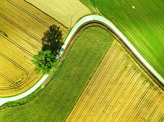 Aerial view of a steep curving road in the countryside.