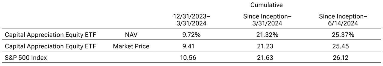 A table comparing performance between the Capital Appreciation Equity ETF and the S&P 500 Index over various time periods.