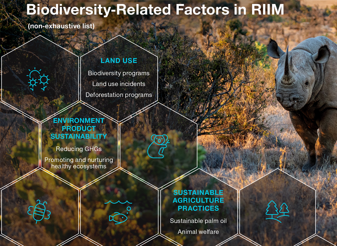 Biodiversity‑Related Factors in RIIM Graphic with Text