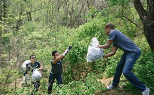 People cleaning up the forest