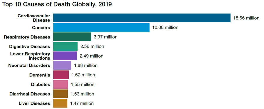 Top 10 Causes of Death Globally, 2019