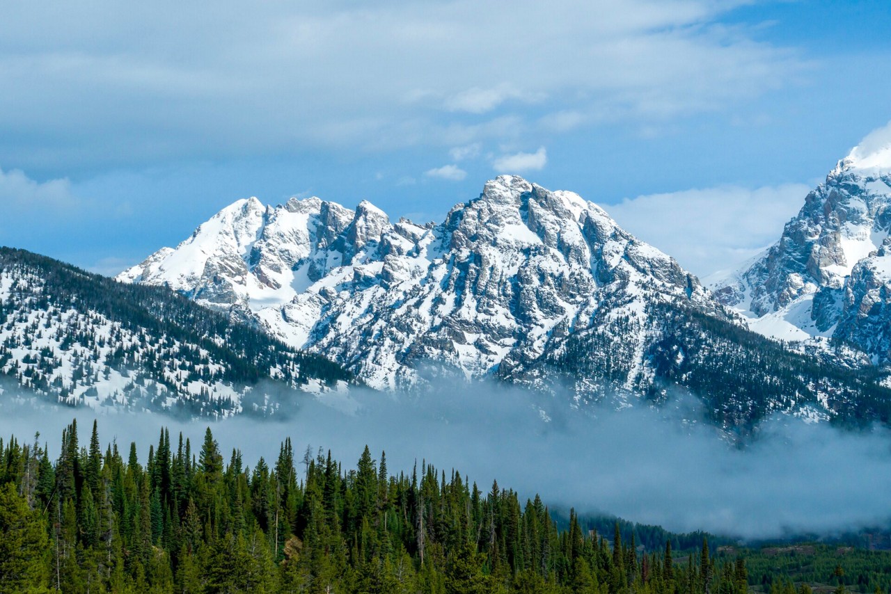 Snow-covered mountain peaks with rolling line of evergreens and mist in foreground 