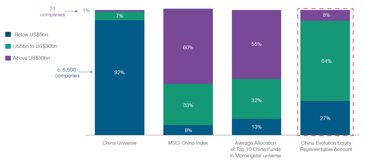 Fig. 1 China’s opportunity set is much more that the mega caps 