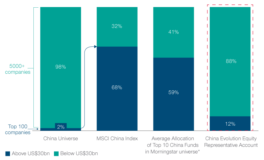 Fig. 1 China’s opportunity set is much more that the mega caps