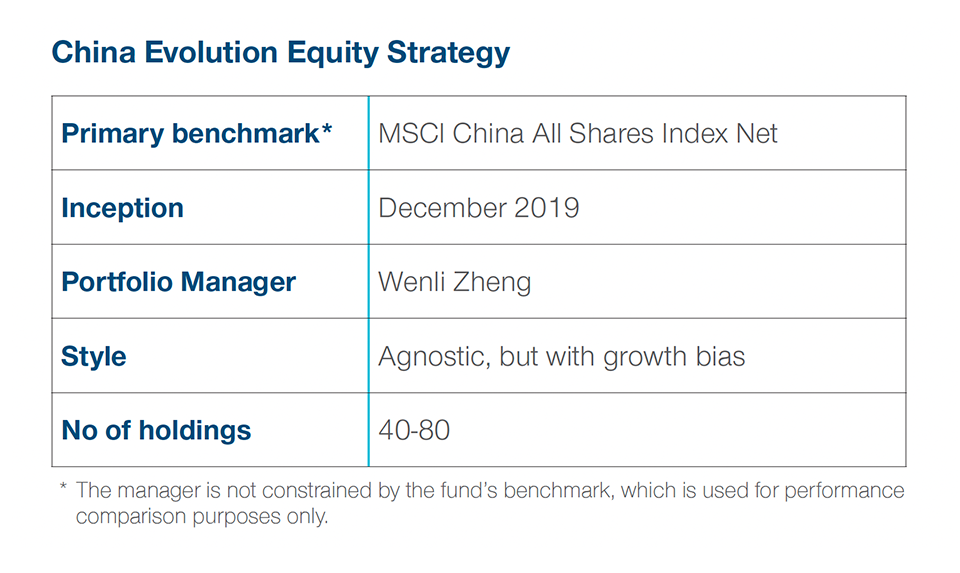 Estrategia China Evolution Equity