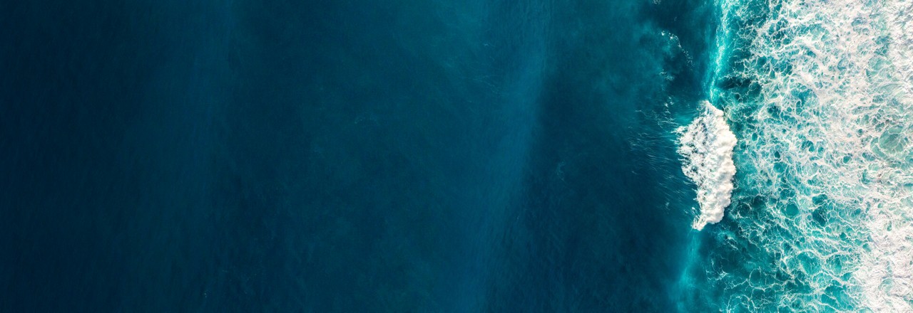 The Blue Economy - Making Waves Podcast