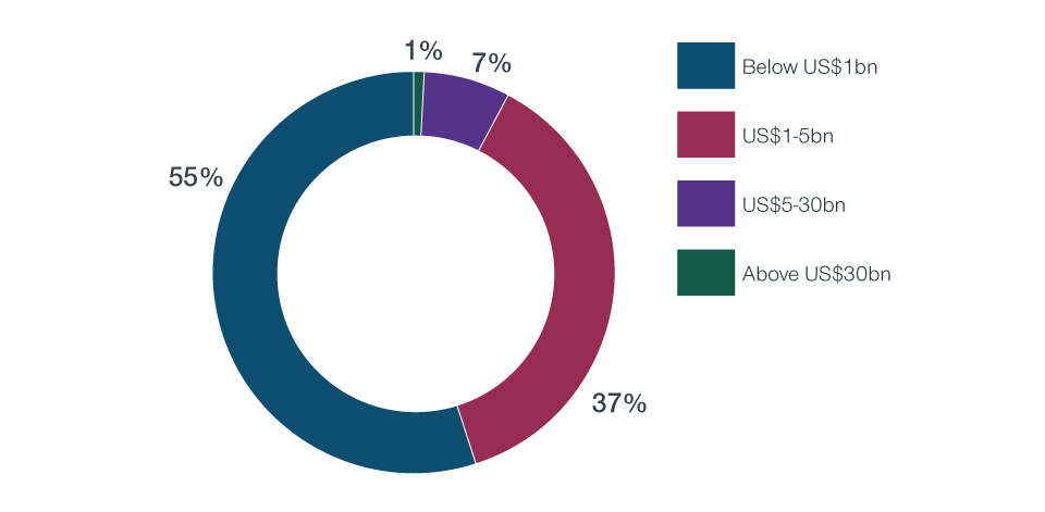 Fig 2: Outliers by market cap