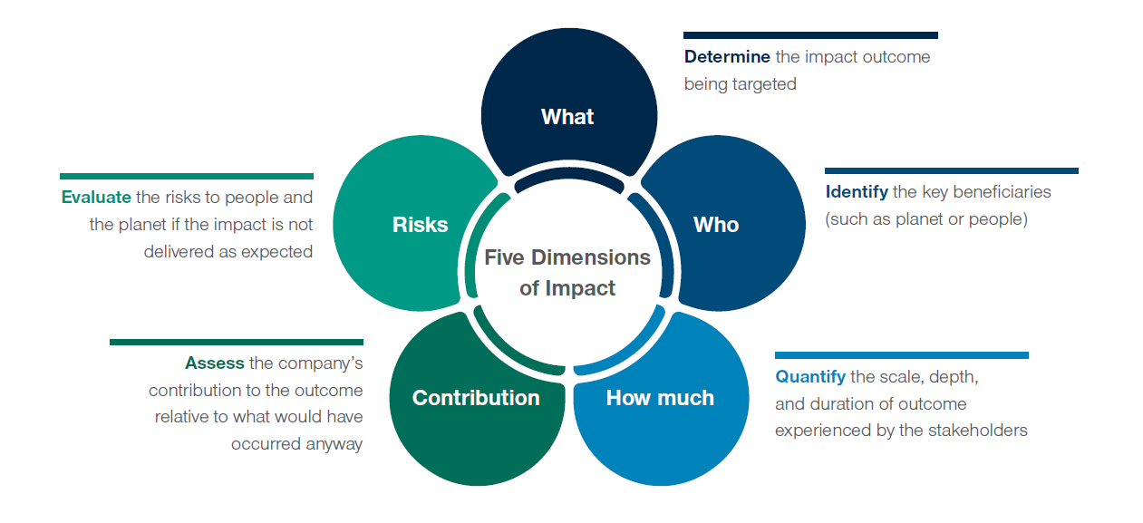 five dimensions of impact