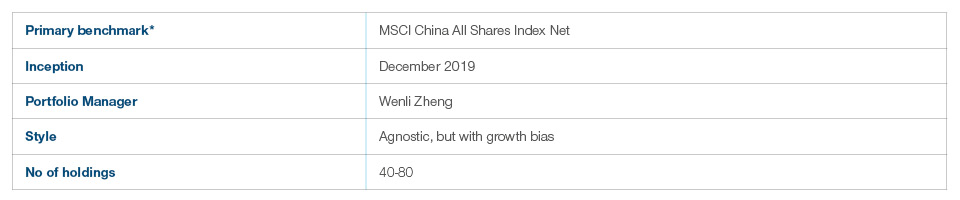 Strategia China Evolution Equity