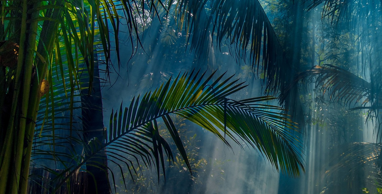 Impact Credit Annual Report 2021