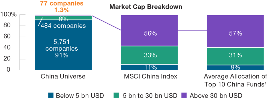 Popular China Indices Favor the Largest Companies