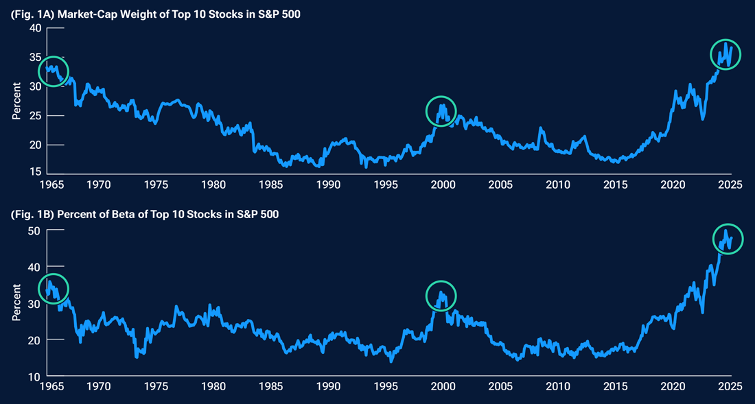 This is a pair of line graphs that show the weight of the top 10 stocks in the S&P 500 Index and their predicted beta concentration.