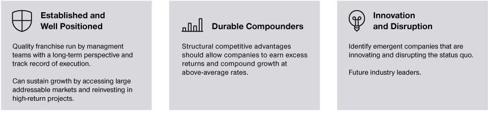 The building blocks of companies that are potential compounders