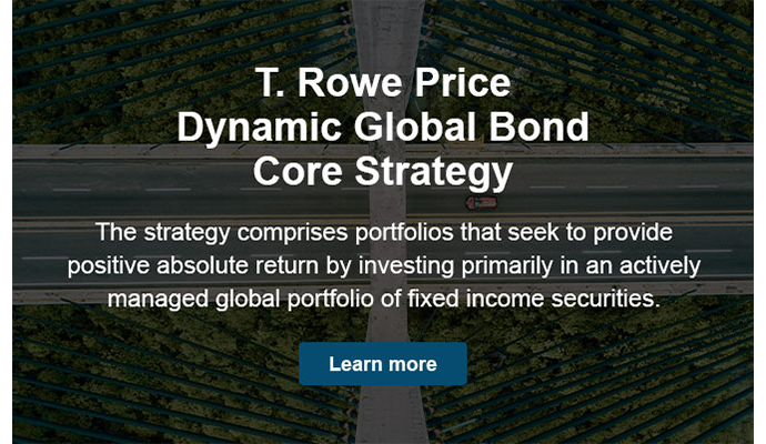 Dynamic Global Bond Core Strategy