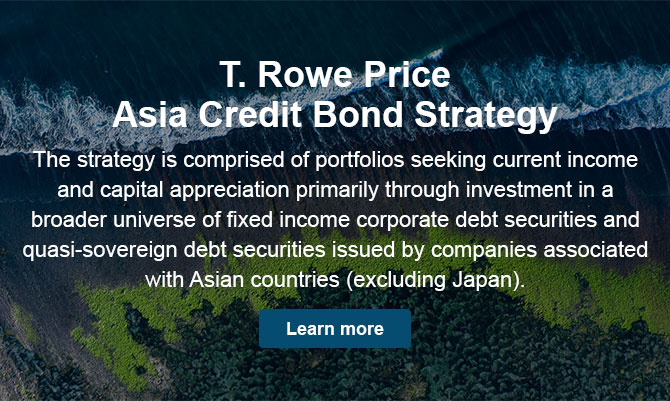 T. Rowe Price Asia Credit Bond Strategy