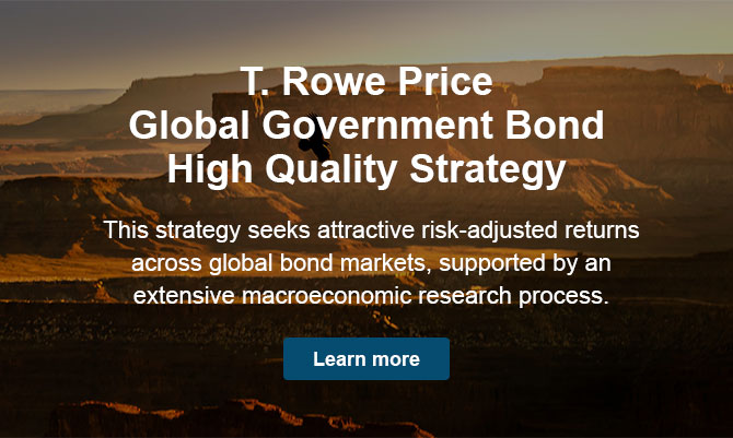 Global Government Bond High Quality Strategy