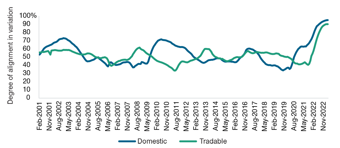 Domestic and tradable goods price inflation for the same countries became far more highly synchronized after 2020.