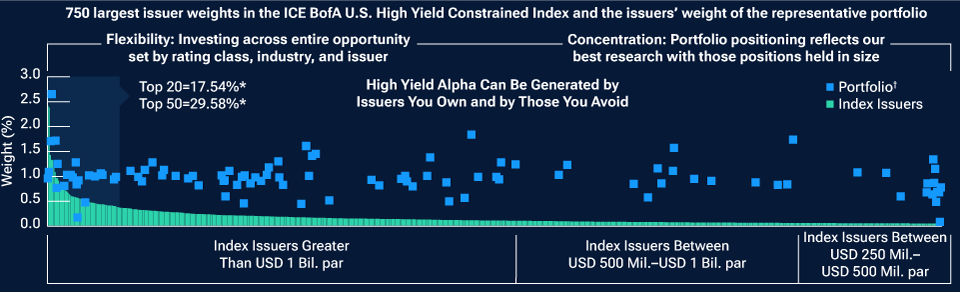 A bar chart of index issuer weights compared with a dot plot of portfolio issuer weights where the portfolio’s dots indicate that its holdings are more concentrated.
