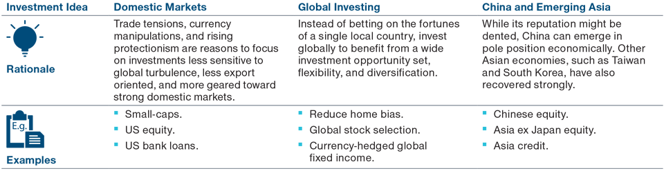 Investment Ideas: 2. Politics and the Pandemic