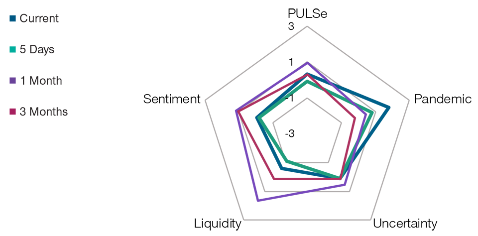 Radar Chart Showing the PULSe Indicator and Its Components