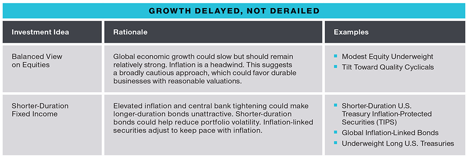 Chart demonstrating investment ideas and their rationale.