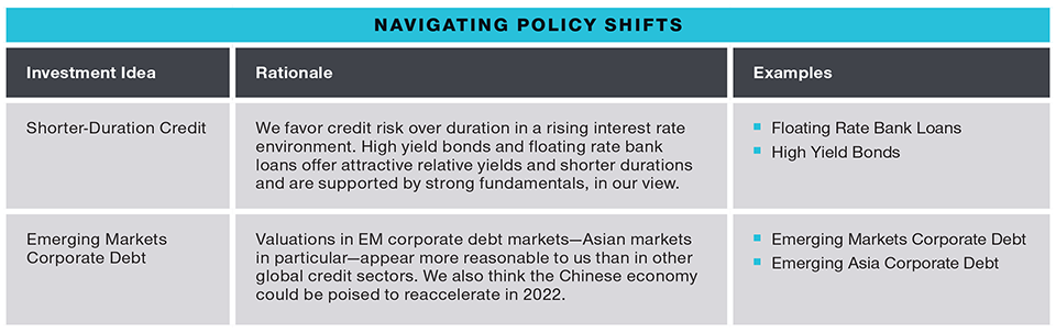 Chart demonstrating investment ideas and their rationale.