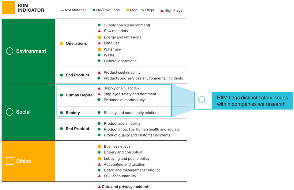 RIIM Analysis—Individual Company Level