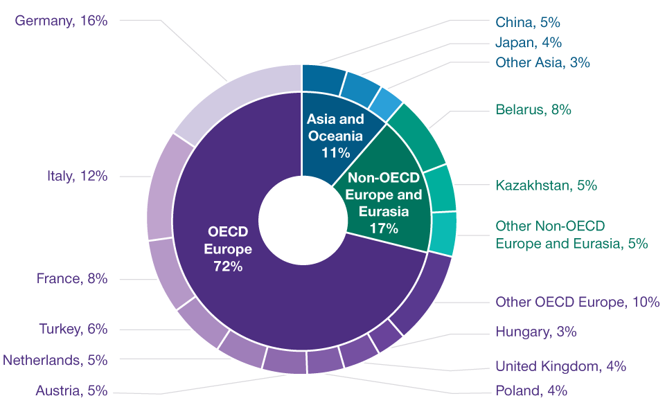 Russia’s Natural Gas Exports by Destination, 2020