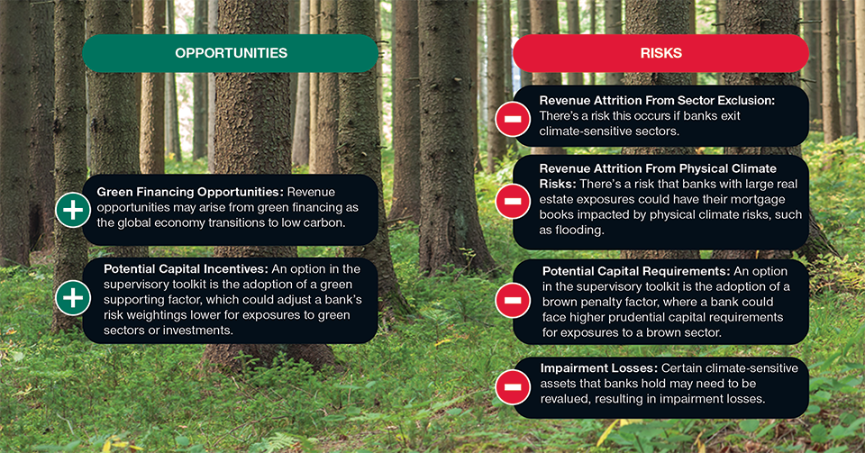 Graphic chart demonstrating revenue opportunities and risks for banks