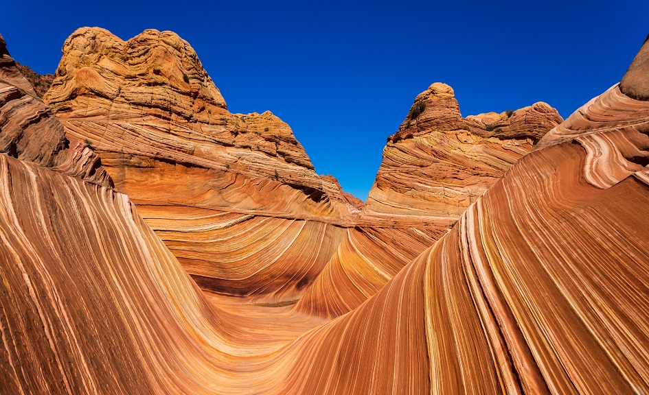 Marque-Template_Export_Sizes