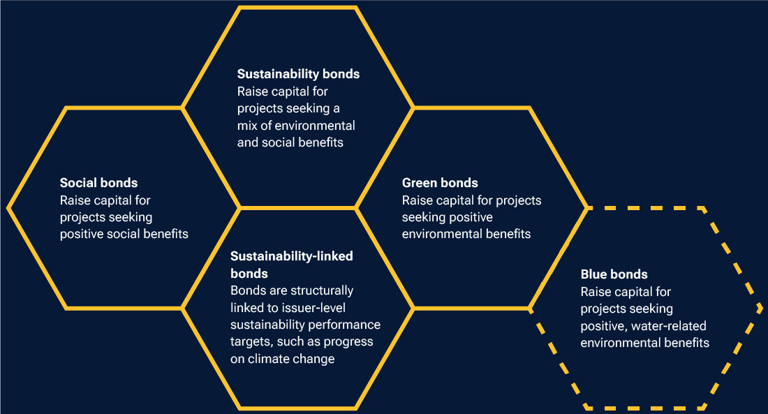 An infographic describing the main types of sustainable debt.
