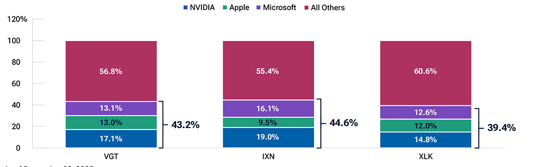 Bar chart showing concentration within the information technology sector by three companies.
